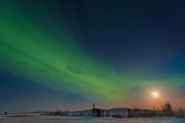 Fairbanks: Arctic Circle Tour with Northern Lights Hunt