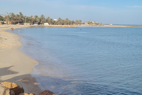 正宗杰尔巴：日落马车之旅和东方小吃正宗杰尔巴岛：日落马车之旅和免费东方小吃