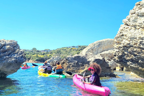 Bonifacio: Guided tour of the caves and cliffs with a swim