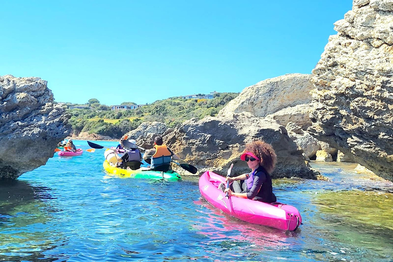 Bonifacio: Guided tour of the caves and cliffs with a swim