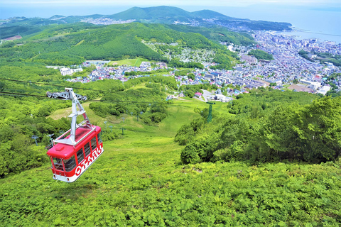 Hokkaido Cherry Blossom Limited:Cape Kamui&Temiya Day Tour Depart from the North Exit of JR Sapporo Station