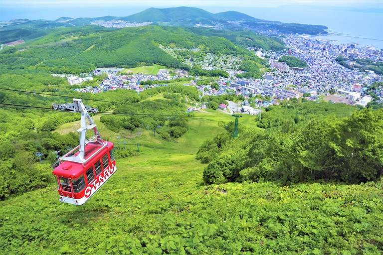 Hokkaido Cherry Blossom Limited:Cape Kamui&Temiya Day Tour Depart from the North Exit of JR Sapporo Station