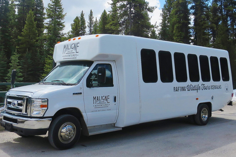 Jasper : Circuit de la faune et des chutes d&#039;eau avec la croisière Maligne