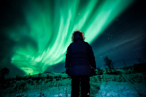 Desde Tromsø: tour aurora boreal todo incluido en minibús