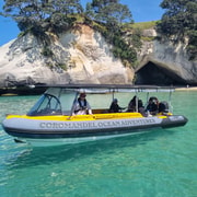 From Tairua: 2-Hour Cathedral Cove Tour with Local Guide From Tairua: 2-Hour Cathedral Cove Tour with Local Guide