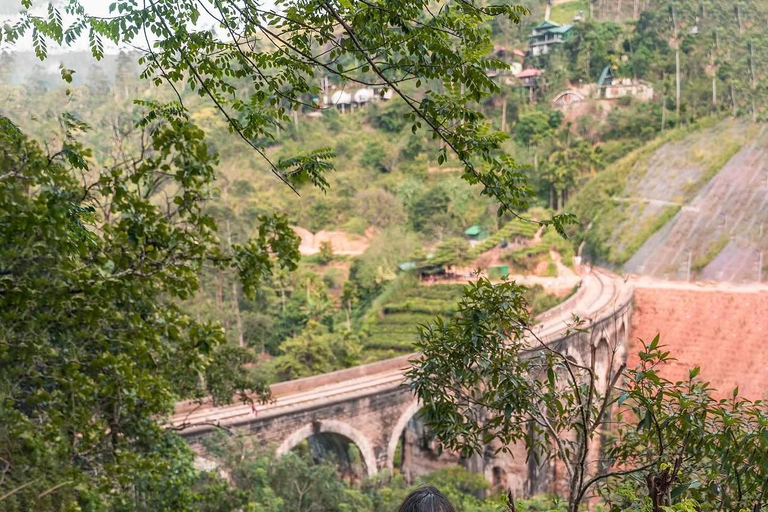 Kandy To Ella Private Transfer With Train Ride Hidden Stops