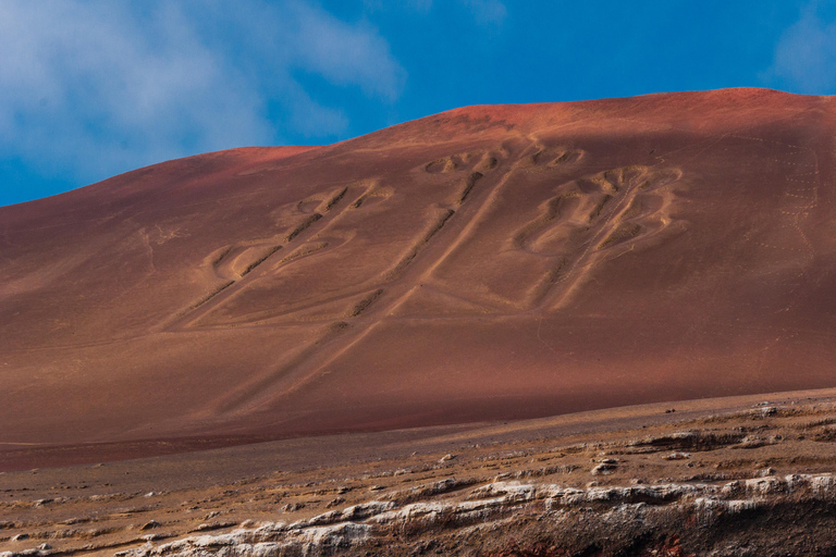 Paracas: Ballestas Islands Boat Tour & Mini Buggy Ride