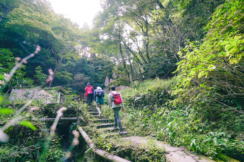 Kyoto: 3-uur durende Fushimi Inari-schrijn verborgen wandeltocht