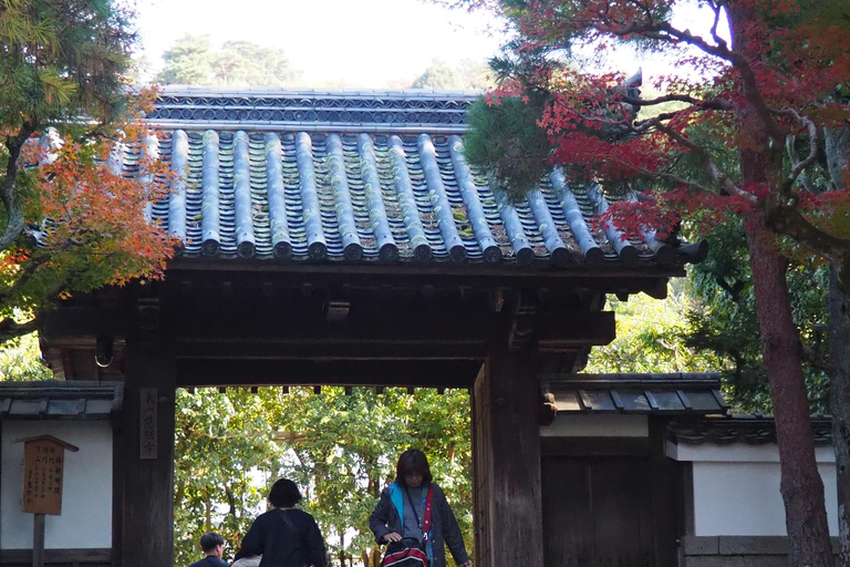 E-Bike Tour in Kyoto with Asuka, Japanese graduate student