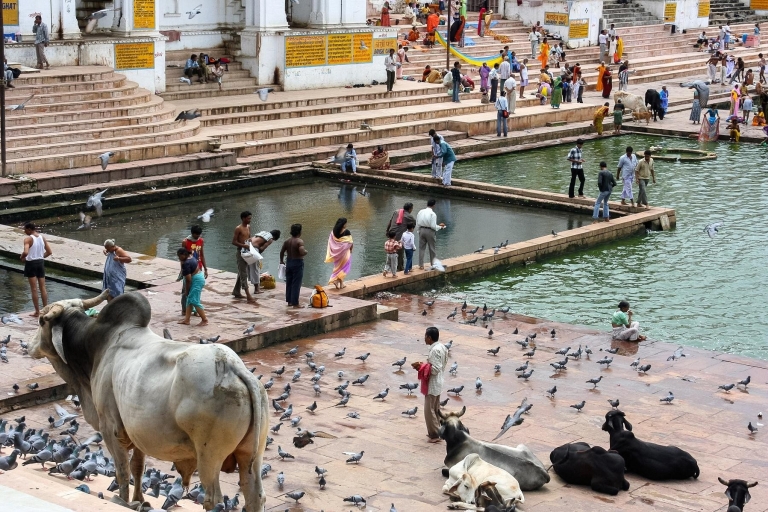 Bezoek Pushkar vanuit Jaipur met Jodhpur-drop zonder gids