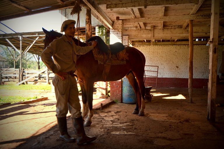 Estancia Las Mercedes Day Trip with Lunch & Transfers