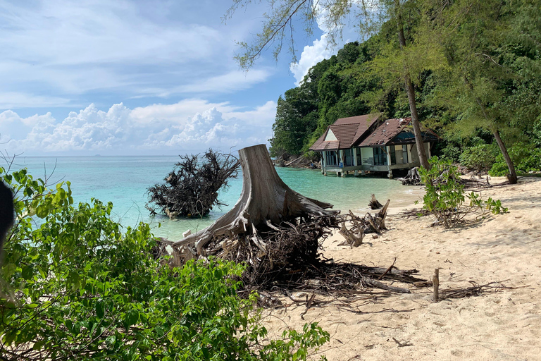 Krabi: The Phi Phi Cove Collector The Essentials