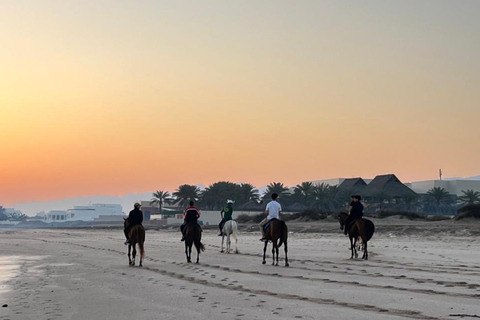 From Muscat: Horse Riding by the Beach