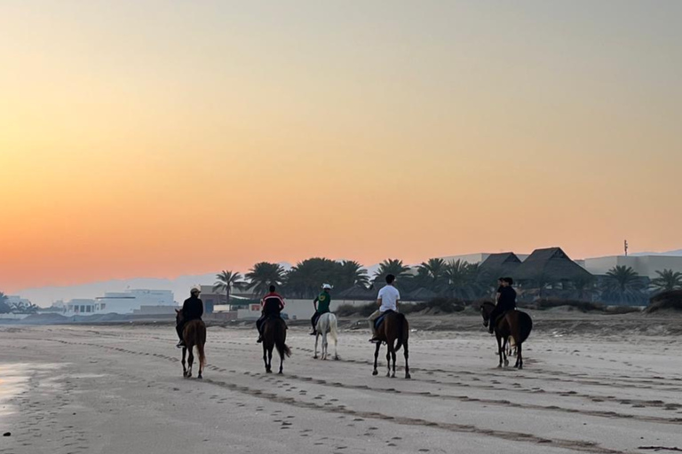 From Muscat: Horse Riding by the Beach