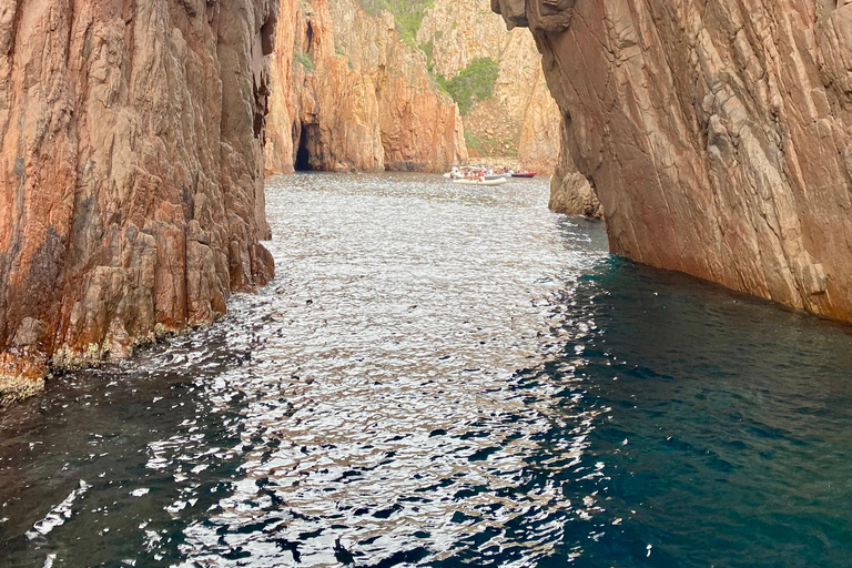 Från Sagone/Cargèse: Båtutflykt till Scandola, Piana och Girolata