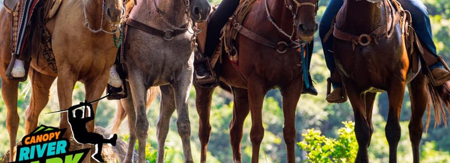 Puerto Vallarta : Randonnée à cheval + Passeport pour le pont Jorullo