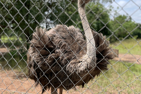 Accra: tour di un'intera giornata nella regione orientale