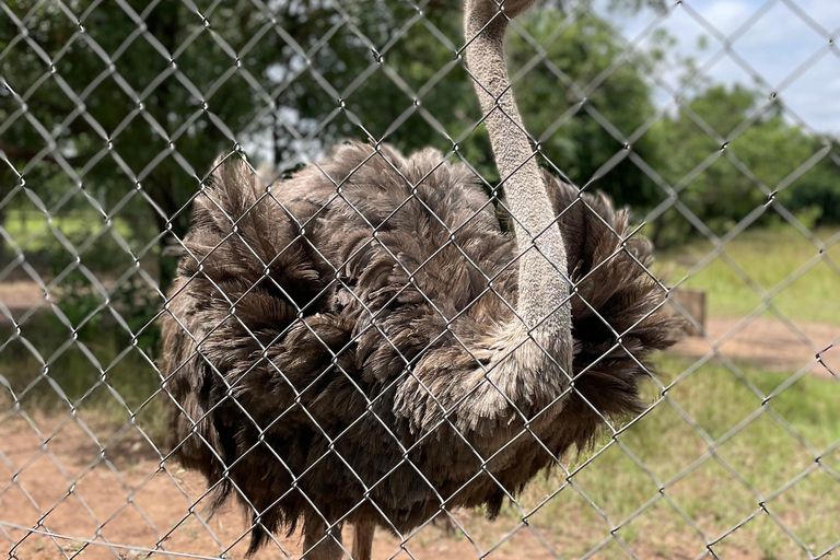 Accra: tour di un'intera giornata nella regione orientale