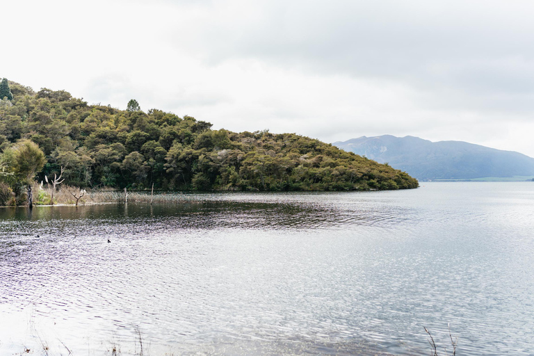 Rotorua: Waimangu Volcanic Valley Entry Ticket