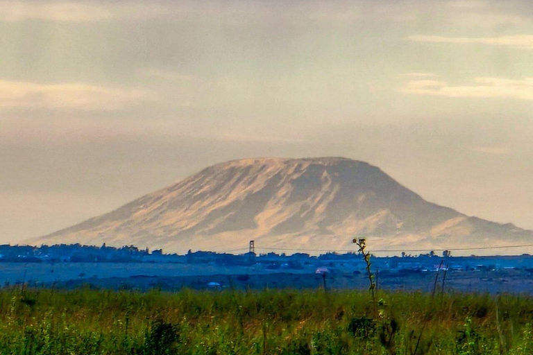 5days Tour Tsavo East & west,Amboseli from Mombasa / Nairobi