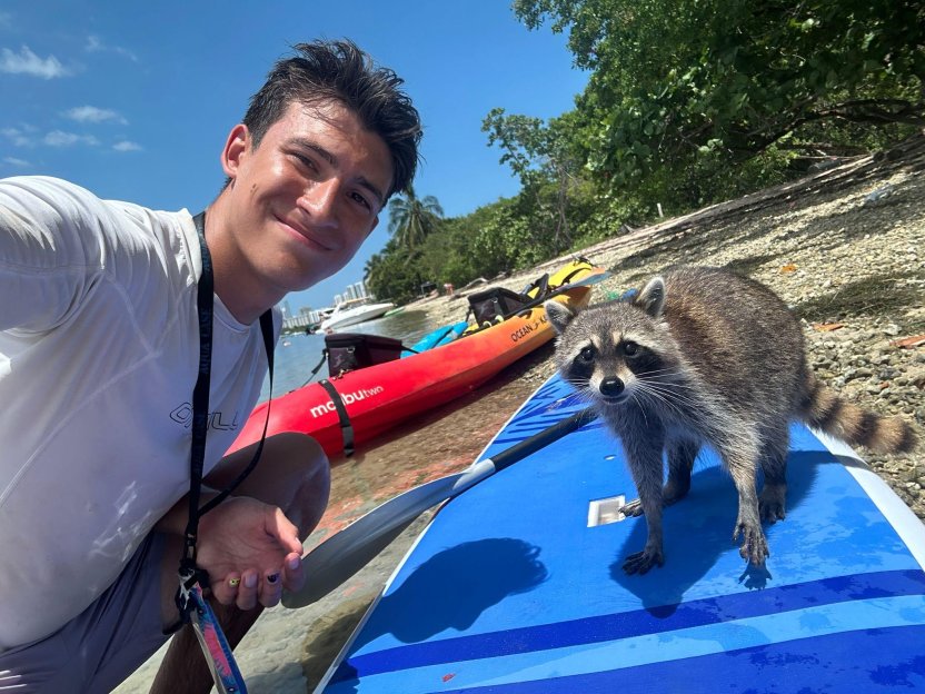 Isola di Raccoon: Esplorazione in SUP/Kayak