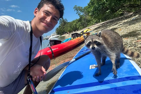 Raccoon Island: Exploration on SUP/Kayak