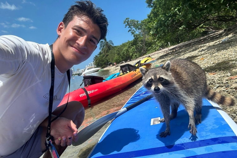 Raccoon Island: Exploration on SUP/Kayak