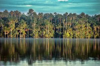 Puerto Maldonado, Sandoval Lake Full Day - Housity