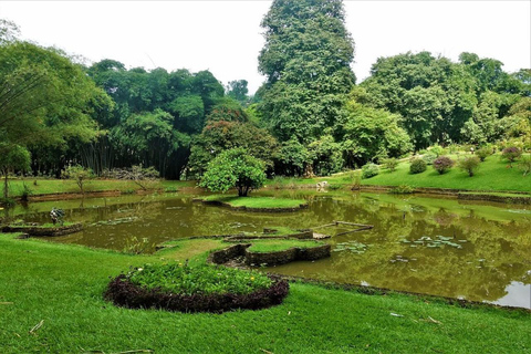 Kandy: Royal Botanical Garden & Tea Factory Tour Pick & Drop Without Entry Ticket in Royal Botanical Garden