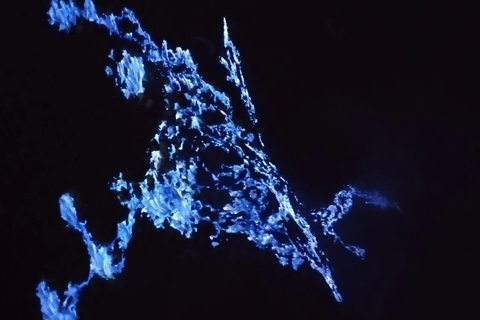 Banyuwangi : Escursione sul monte Ijen e tour guidato del lago panoramico