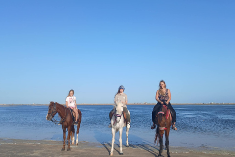 Djerba: Crossing the Lagoon on Horseback at Sunset Djerba: Horseback ride across the lagoon at sunset