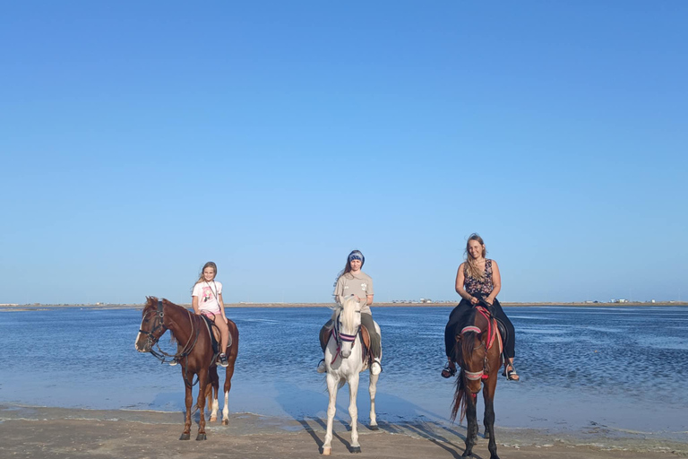 Djerba: Crossing the Lagoon on Horseback at Sunset Djerba: Horseback ride across the lagoon at sunset