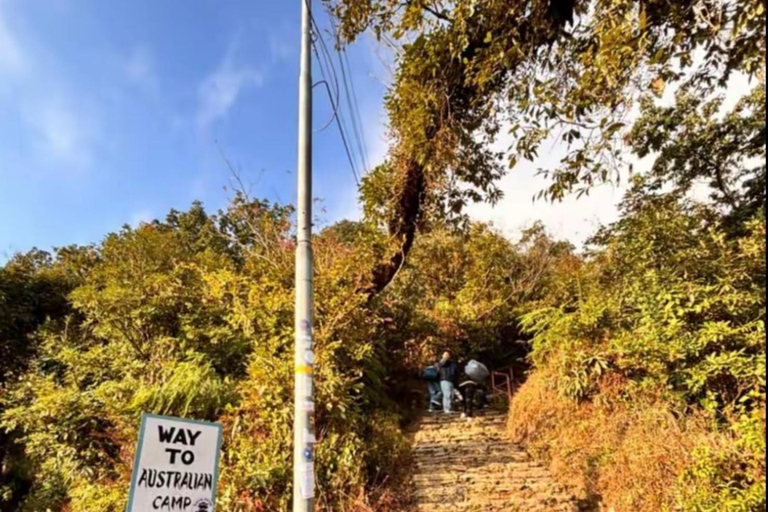 Pokhara: Annapurna Panorama Day Hike to Australian Camp