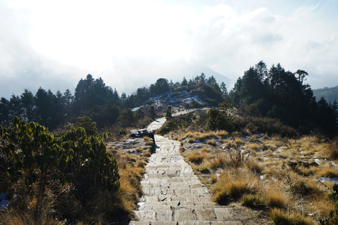 De Katmandou: Trekking de plusieurs jours à Poon Hill