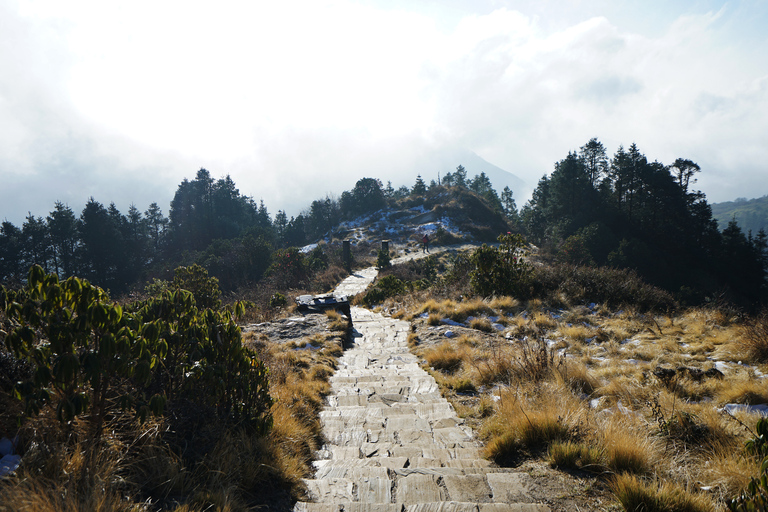 Von Kathmandu aus: Mehrtägiges Trekking auf dem Poon Hill