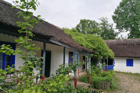 Visita panorâmica de Bucareste com três paragens e duas visitas.