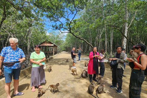 Excursão de 1 dia à floresta de mangue de Can Gio e à Ilha dos Macacos