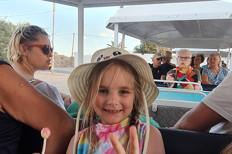 正宗杰尔巴：日落马车之旅和东方小吃正宗杰尔巴岛：日落马车之旅和免费东方小吃