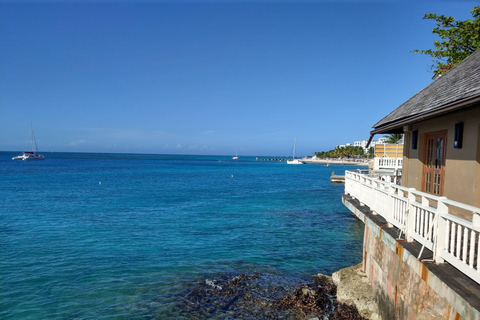 Excursión de un día a la playa de Doctors Cave, Margaritaville y de comprasDesde Falmouth/ Trelawny