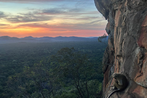 Sigiriya Treehouse Adventure – 3 Days 2 Nights from Colombo