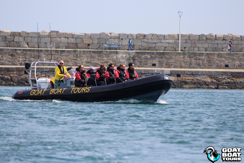 Dublín: tour en barco por la historia y la fauna con comentarios en directo