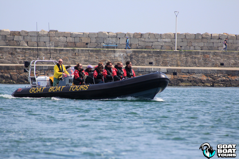 Dublín: tour en barco por la historia y la fauna con comentarios en directo