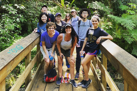 San Juan: El Yunque Rainforest Wycieczka z przewodnikiem