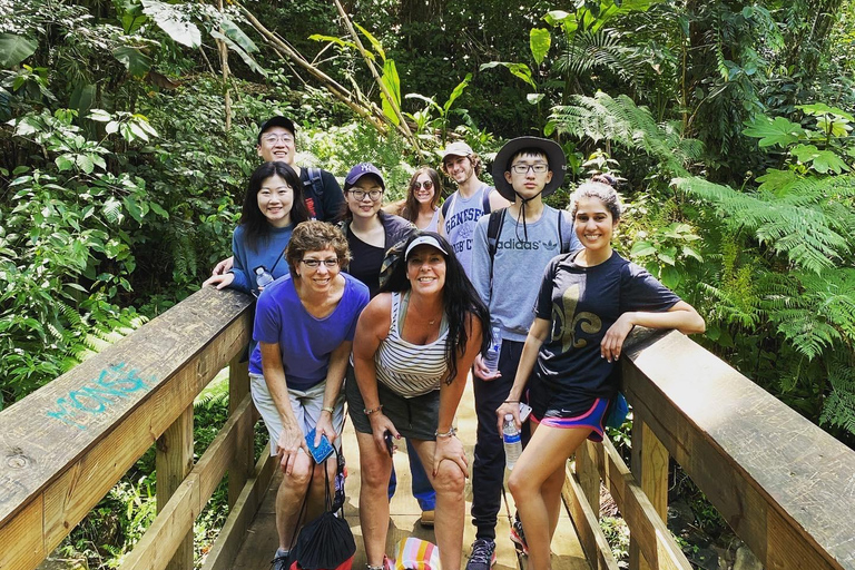 San Juan: El Yunque Rainforest Wycieczka z przewodnikiem