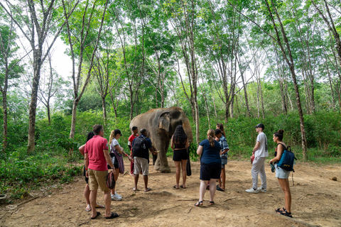 Khao Lak’s Best: Elephant Sanctuary,Rubber Tapping&Waterfall Khaolak Elephant Sanctuary Guided Tour with Hotel Transfers