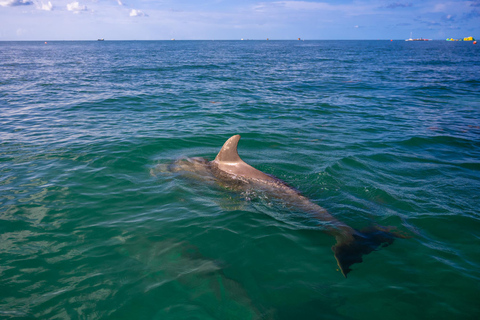 Snorkel com golfinhos e banco de areia em Key West