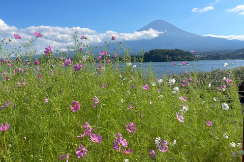4-Daagse privétour Mt Fuji, Hakone, Nikko en Tokio.
