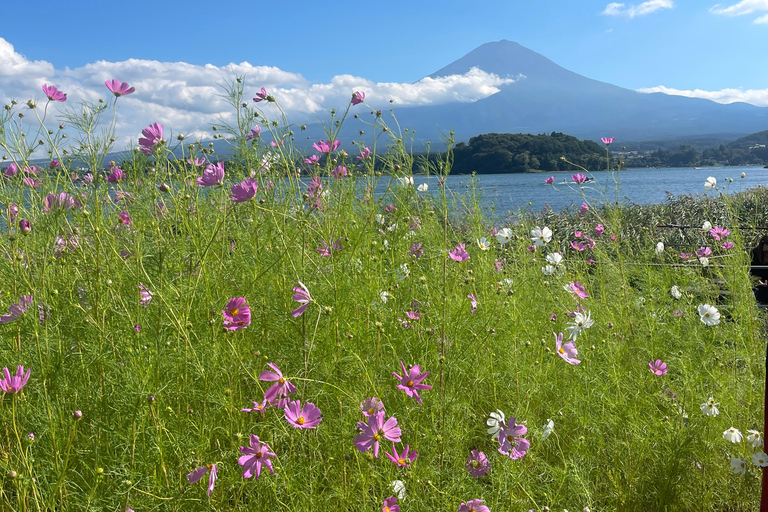 4-Daagse privétour Mt Fuji, Hakone, Nikko en Tokio.