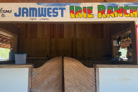 牙买加：骑马探秘与日落双体船巡游牙买加：骑马体验与日落双体船巡游