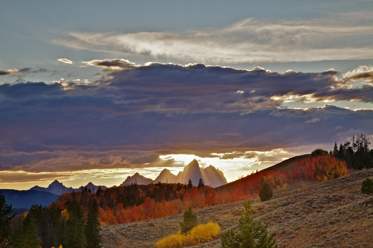 Private Sunset Safari of Grand Teton National Park Grand Teton Wildlife Safari and Scenic Highlights Tour